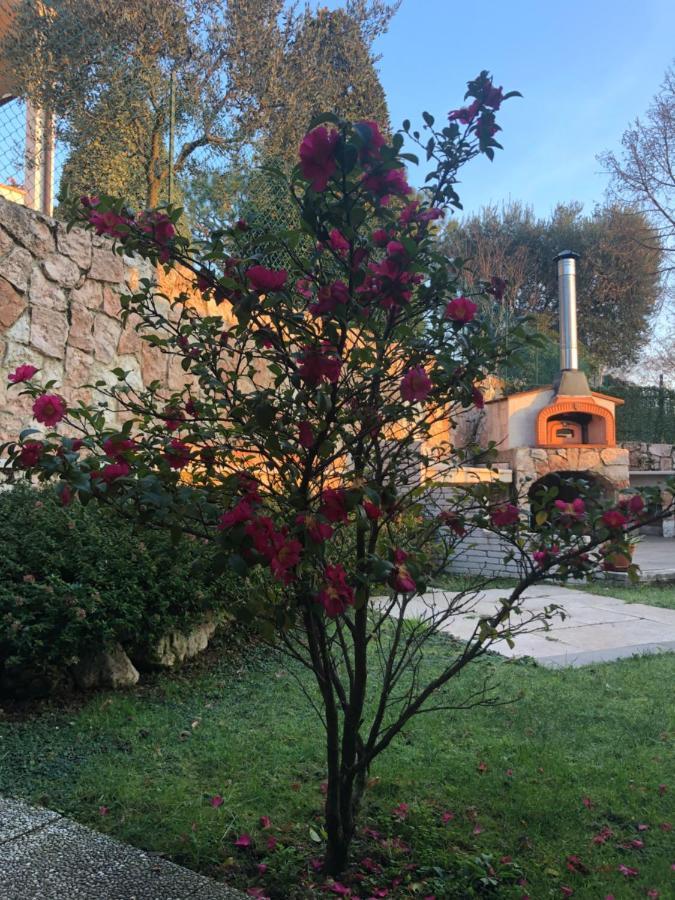 B&B Damiano Crespano del Grappa Exterior photo
